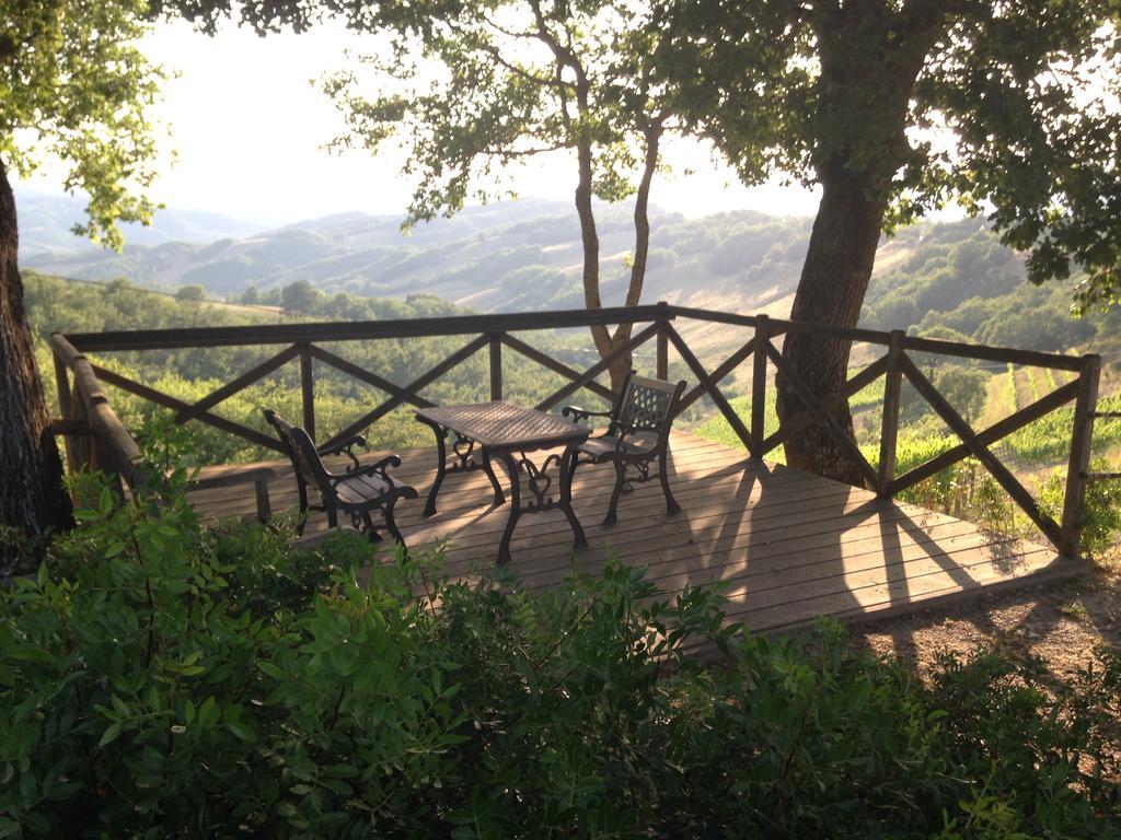 Agriturismo Erta Villa Casole dʼElsa Екстериор снимка