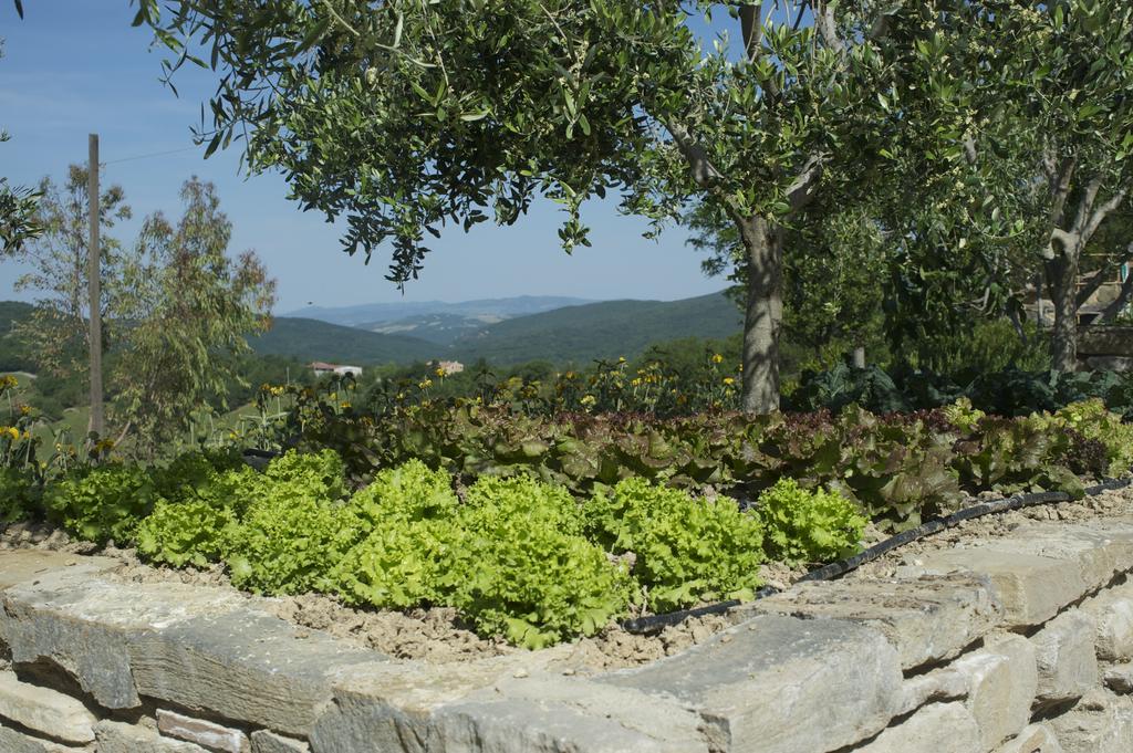 Agriturismo Erta Villa Casole dʼElsa Екстериор снимка