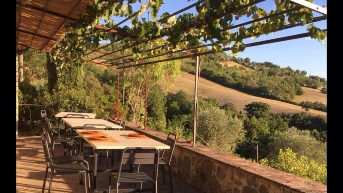 Agriturismo Erta Villa Casole dʼElsa Екстериор снимка