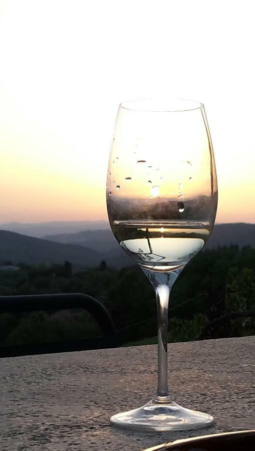 Agriturismo Erta Villa Casole dʼElsa Екстериор снимка