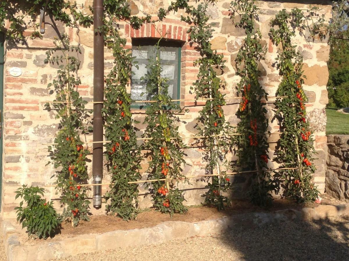 Agriturismo Erta Villa Casole dʼElsa Екстериор снимка